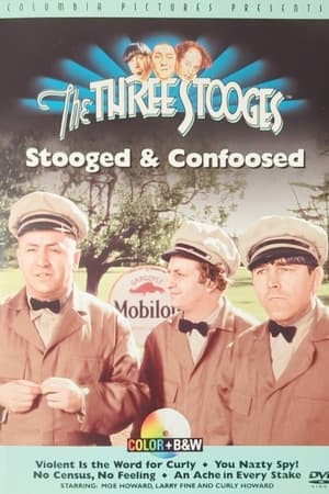 The Three Stooges: Stooged & Confoosed