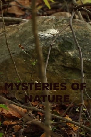 Mysteries of Nature