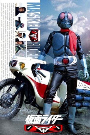Kamen Rider Ichigo & V3 Collection