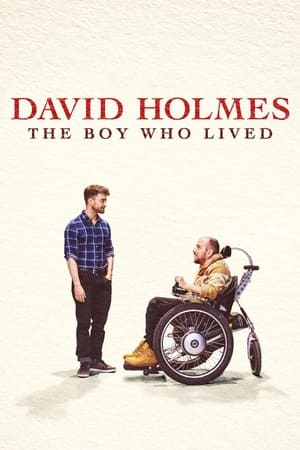 David Holmes: Chlapec, který přežil