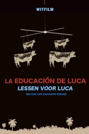 Lessons for Luca