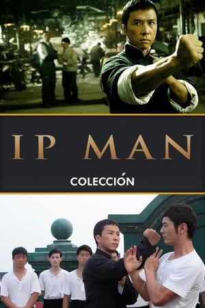 Ip Man - Colección