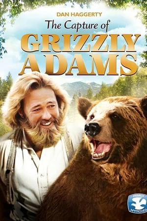 Grizzly Adams: Auf der Flucht