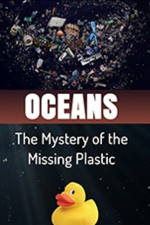 Oceans The Mystery of the Missing Plastic