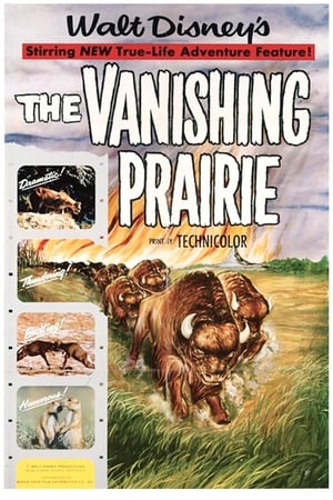 De Prairie Verdwijnt