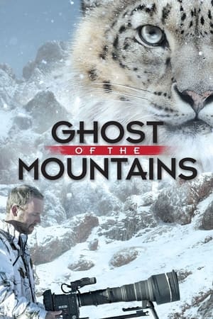 산의 유령, 눈표범