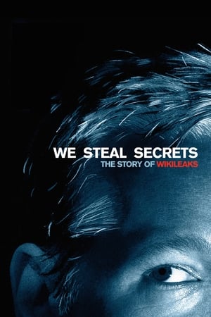 우리는 비밀을 훔친다: 위키리크스 스토리