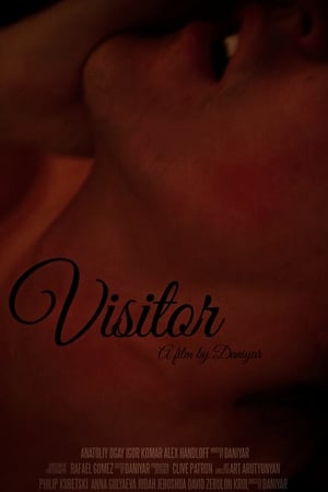 Visitor