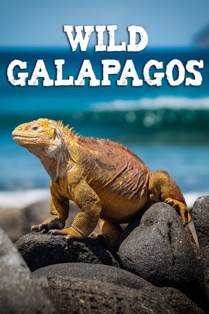 Wild Galápagos