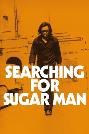 A la recerca de Sugar Man