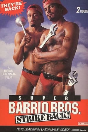Super Barrio Bros. Strike Back!