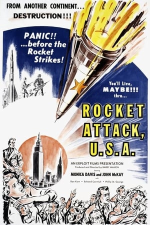 Rocket attaque USA