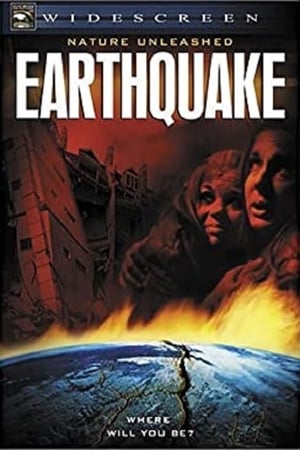 Erdbeben - Wenn die Erde sich öffnet ...