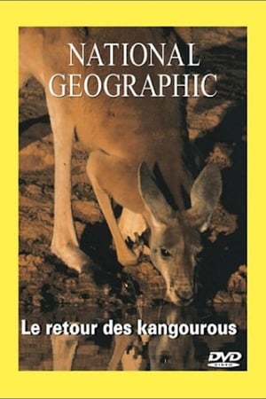 National Geographic Le Retour Du Kangourou