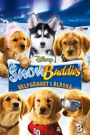 Snow Buddies: Valpgänget i Alaska