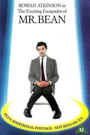 The Exciting Escapades of Mr. Bean