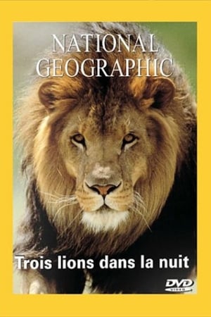 National Geographic : Trois lions dans la nuit