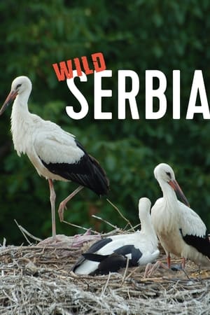 Vad Szerbia