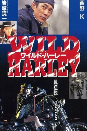 Wild Harley