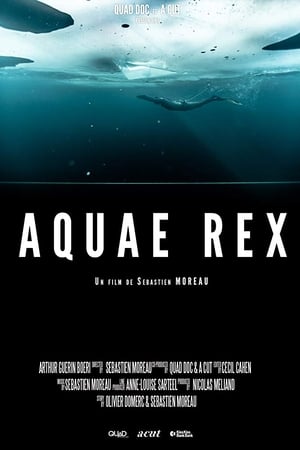 Aquae Rex