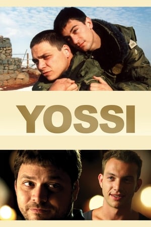 Yossi Collection