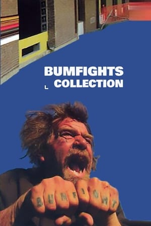 Bumfights Collection