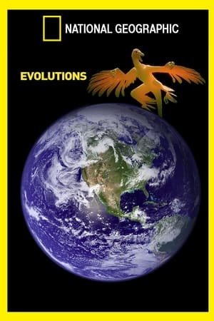 National Geographic Evolutions