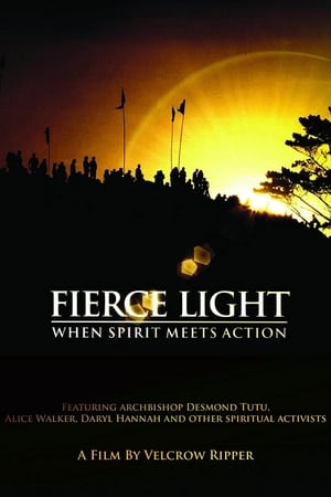 Fierce Light: When Spirit Meets Action