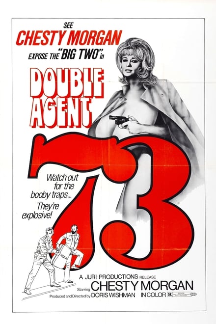 Omslag för Double Agent 73