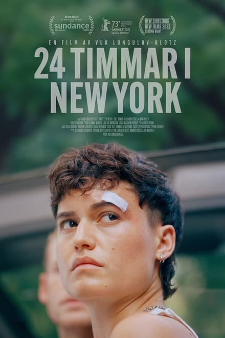 Omslag för 24 Timmar I New York