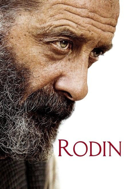 Omslag för Rodin