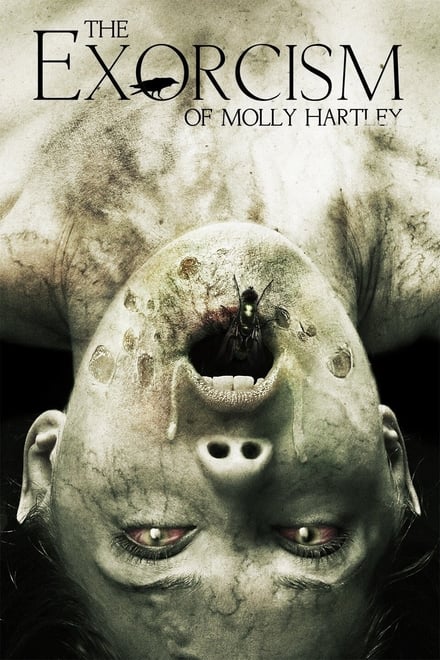 Omslag för The Exorcism Of Molly Hartley