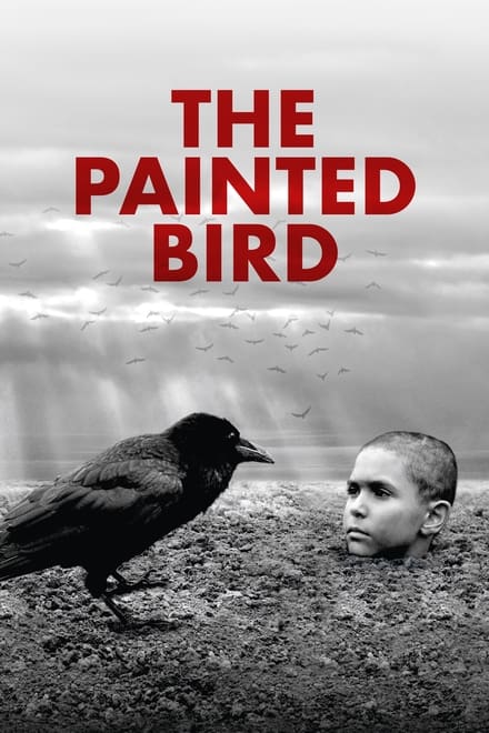 Omslag för The Painted Bird