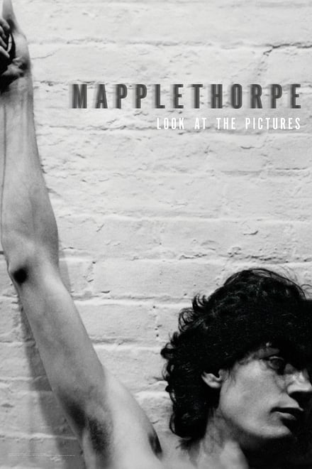 Omslag för Mapplethorpe: Look At The Pictures