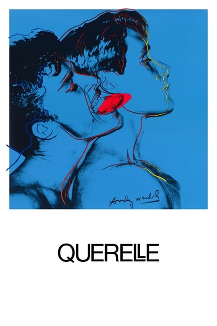 Omslag för Querelle