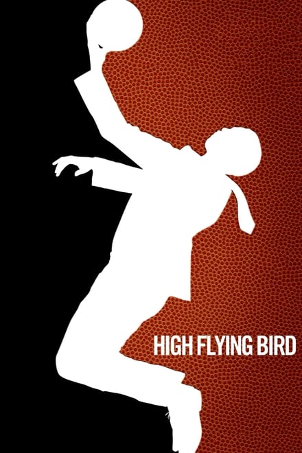 Omslag för High Flying Bird