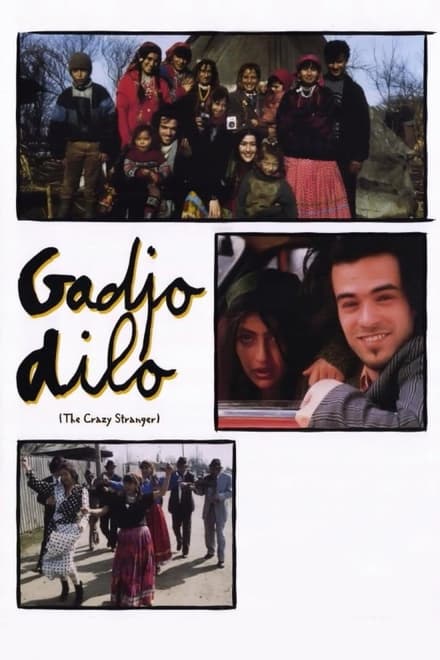 Omslag för Gadjo Dilo - Främlingen