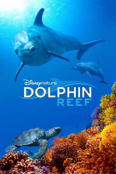 Omslag för Dolphin Reef