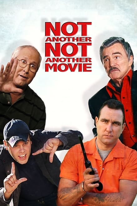 Omslag för Not Another Not Another Movie