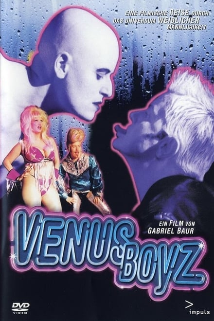 Omslag för Venus Boyz