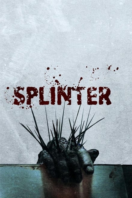 Omslag för Splinter
