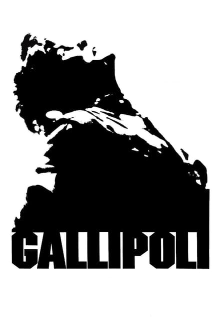 Omslag för Gallipoli