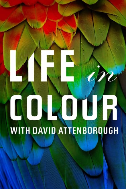 Omslag för Naturens Färger Med David Attenborough