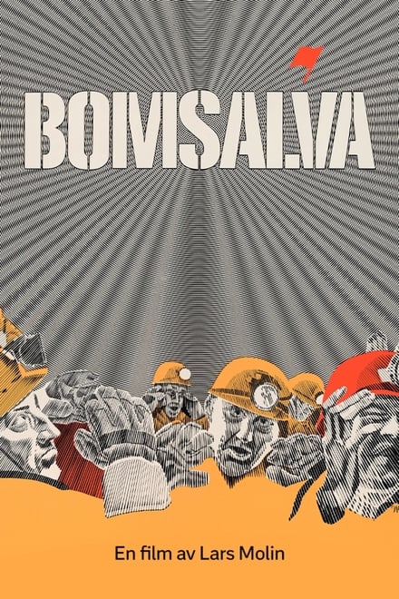 Omslag för Bomsalva