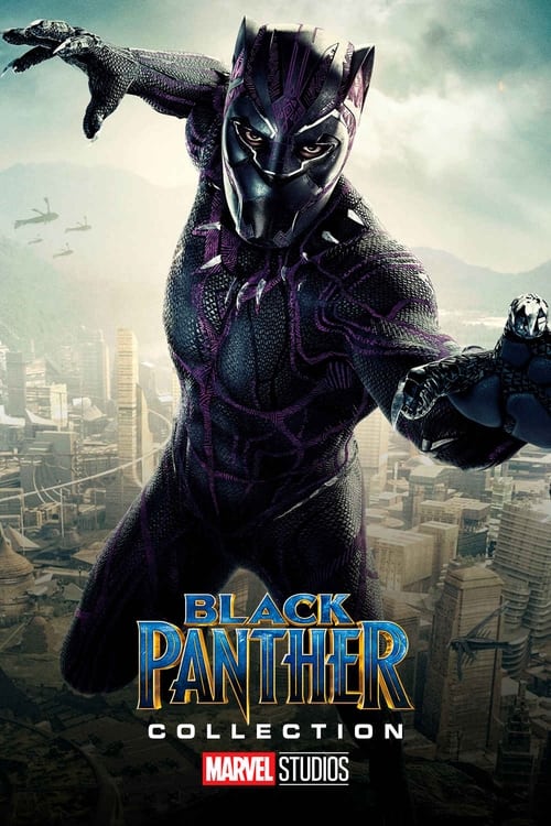 Black Panther Collection — The Movie Database (TMDB)