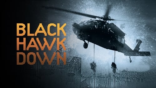 Black Hawk derribado