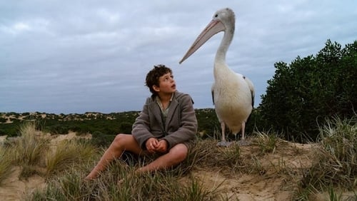 Chlapec a pelikán