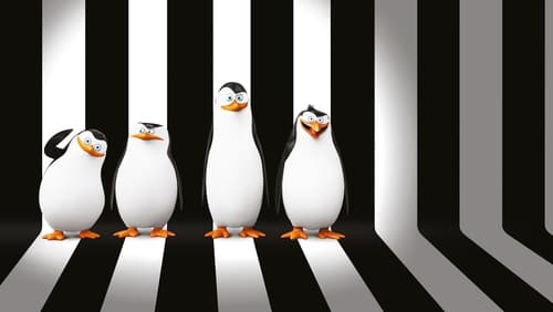 پنگوئن‌های ماداگاسکار