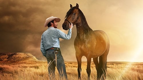 Le cowboy