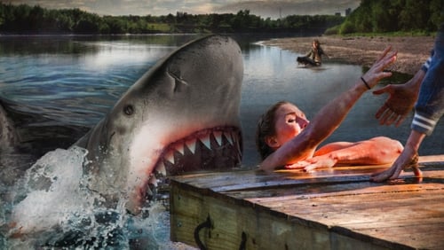 Summer shark attack